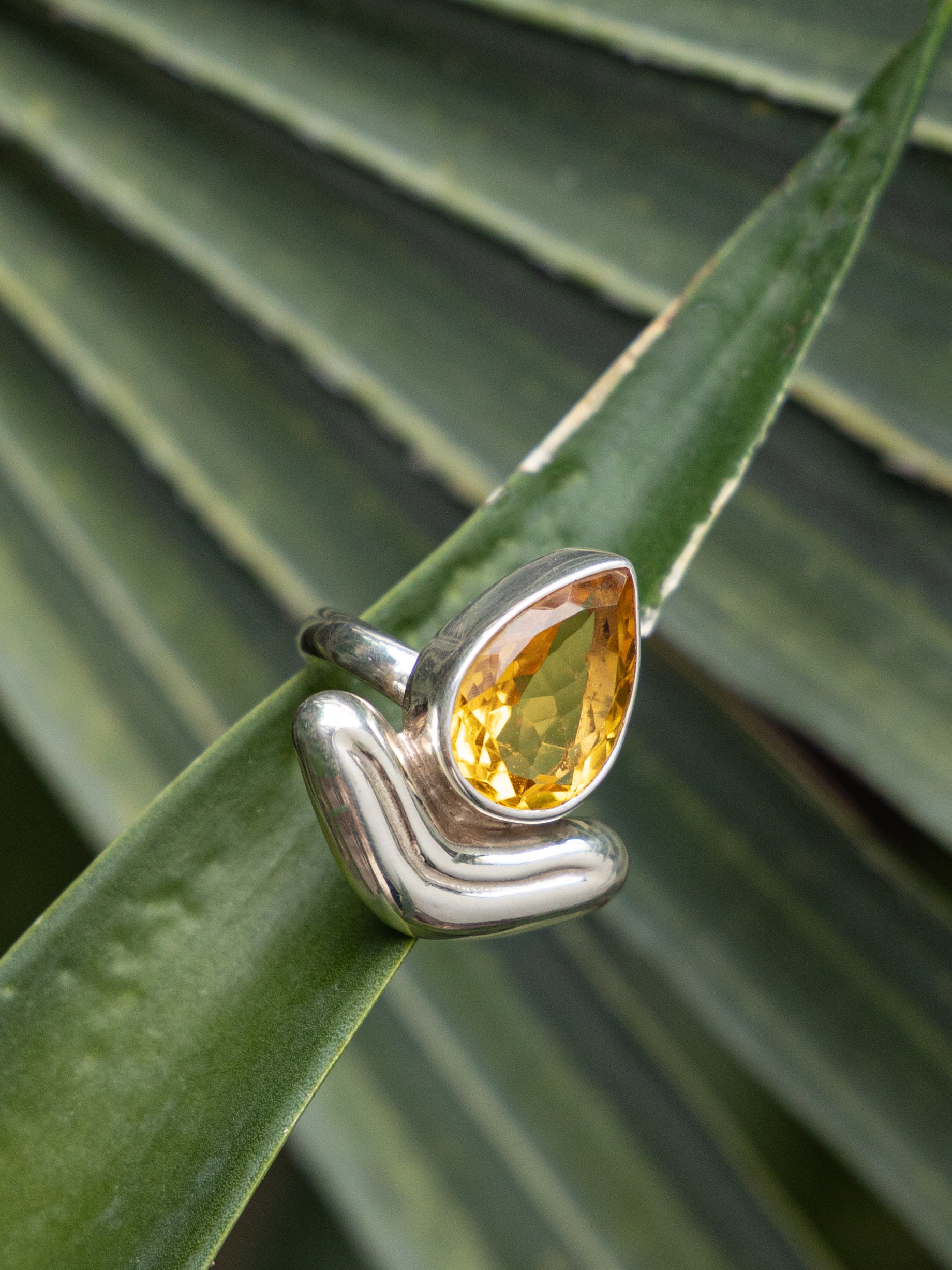 LENGUA DROP RING