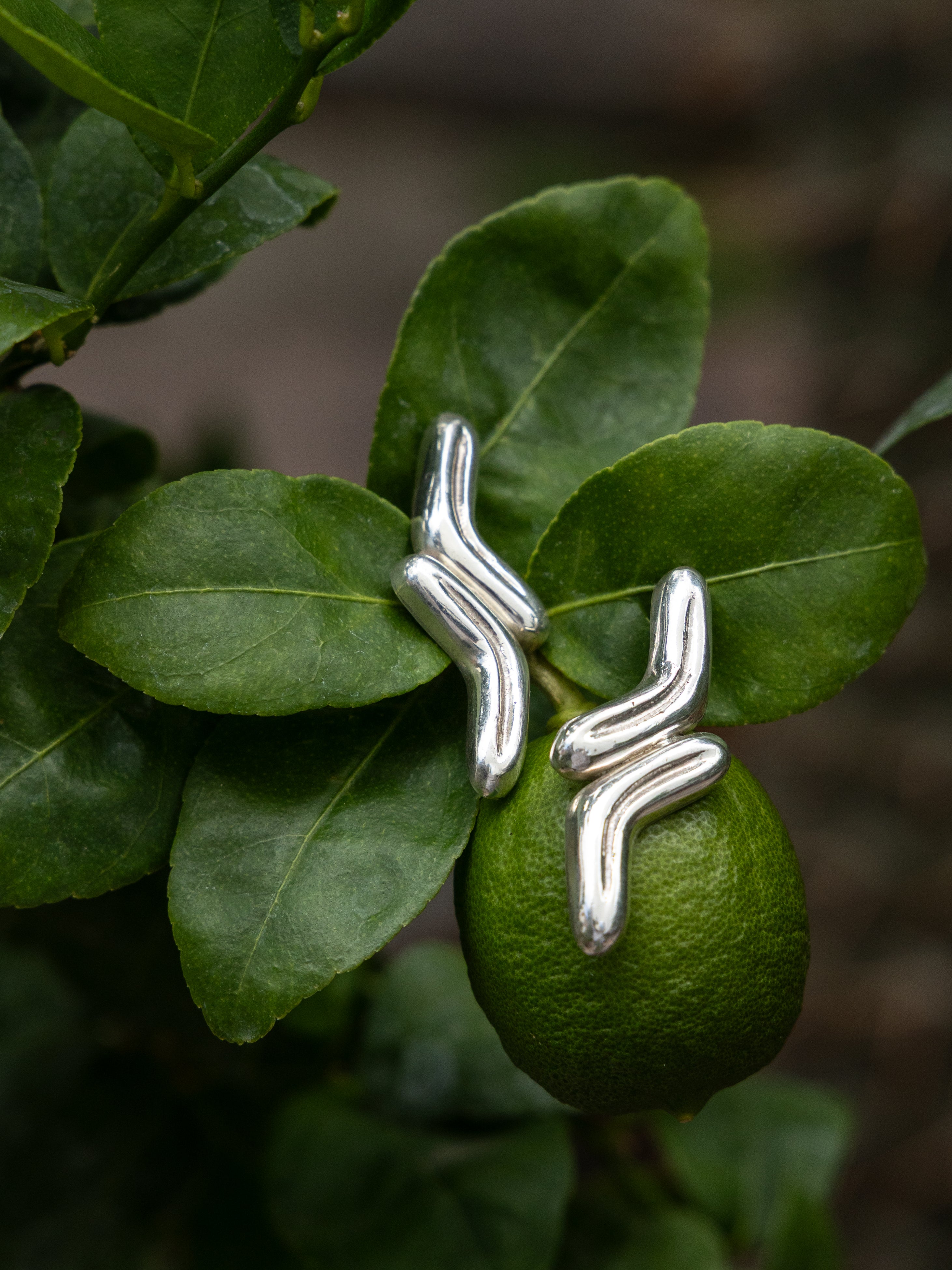 Lengua Drop Earrings in Sterling Silver